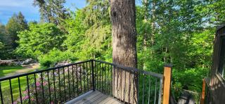 Calm Chaos Maple Bay - 1