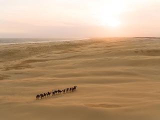 Absolute Waterfront Anna Bay - 7