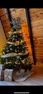 Peaceful Cabin - Lunca Bradului - 8