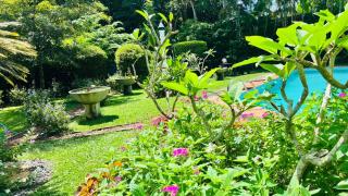 New Greenish Villa - 2