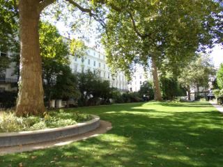 Wedgewood Hotel - London - 5