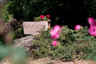 Novelleto - Monteriggioni - 3