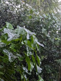 Rock Harmony Villa - Dodanduwa - 7