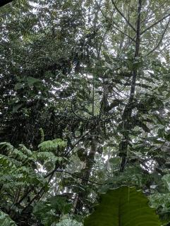 Rock Harmony Villa - 9