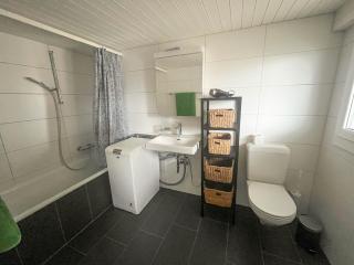 Apartment im Winkel - Reinach - 9