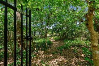 Belle Escapes Rainforest Shore - 6