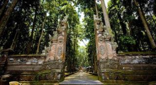 Singgah di Ubud 1 - 4