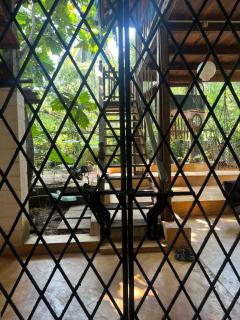 The Wild Flower! - Anjuna - 8