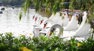 Tuscany Basic Urban Stay - 5