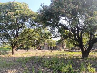 Almond Cottage Kundanpur - 7