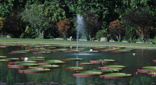 Arch Hotel Bogor - 3