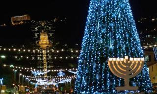 Eshkol Housing Carmel Center: Forest retreat - 9