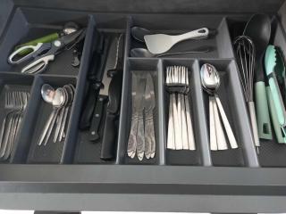 Le Chant du Latanier - 5