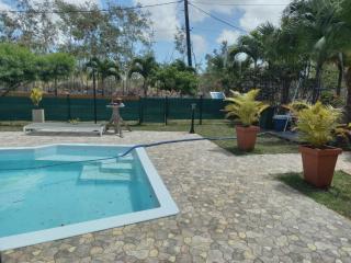 Le Chant du Latanier - 7