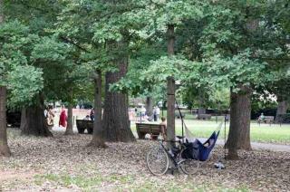 Prime DC 3BR 2Story Home - 95WalkScore Steps to Cafes Dining Nightlife Grocery Metro - Close to Downtown - 7