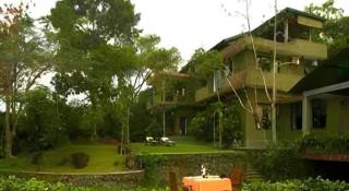 Mangrove Escapes Resort - 1