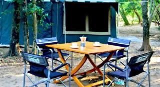 The Yala Camping - 5