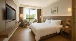 Hanyong Hotel Shenzhen International Exhibition Center - 7