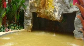 Hot Spring Hotel - 8