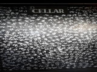 Staylite Candon Hotel - 4