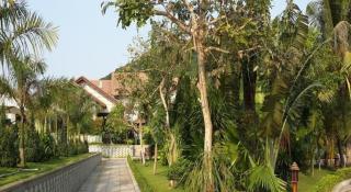 Sa Huynh Resort Quang Ngai - 4