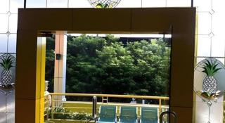 Pineapple Mansion - 3