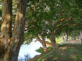 Bestlife Eco Resort Mattala Airport - 4