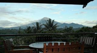 The Oxalis Regency Hotel - 4