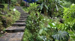 Alley Mountain View Garden Hotel - 5