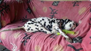 Drifters Inn Cape St Francis - 4