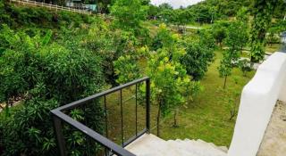 Dandelion Resort - 6