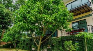 Dandelion Resort - 3