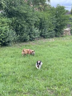 Schicke Ferienwohnung Philippsburg - Philippsburg - 6