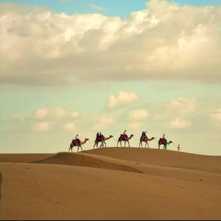 Sam Desert Safari Camping Jaisalmer - Best Desert Camp - 2
