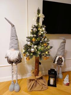 Apartament Strzelecka 19 - 0