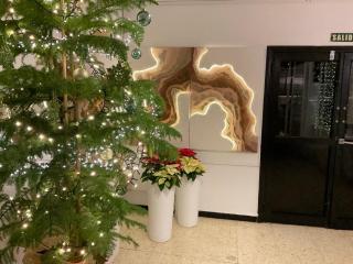 Ocean Front Playa Chica - 7