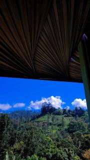 Zen Garden Palace - 8