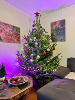 Casa Trei Brazi Bratca - 7