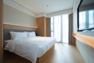 JI Hotel Shanghai World Expo Xueye Road - 3