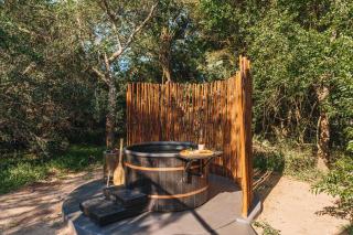 The Dome, Private Pool, Hot tub, Free Standing Bath, Private Game Reserve, Stargazing, Giraffe Tower, Romantic Getaway, Ultimate Bush Luxury - 6