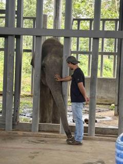 Greentraveller Buon Ma Thuot Homestay - 6