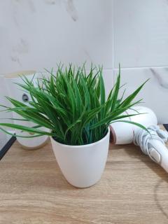 Gaby's Apartment - 8