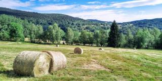 Agroturystyka Monte Luna - 4