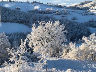 Riserva Del Frignano Appartaments - 0