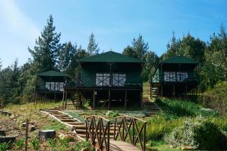 Elgin River Lodge - Elgin - 7