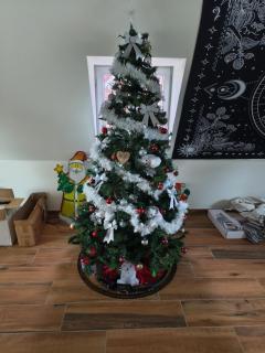 Appartement Cosi - Hagenau - 5