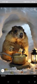 Chalet 126 m² PRALOUP - 9