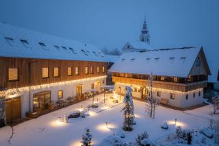 Hotel Julian Alps - 9