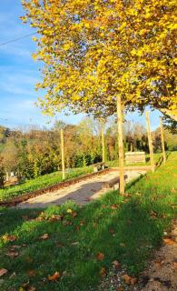 Domaine des Granges - 6