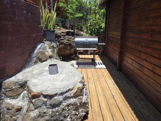 Soleil Passion en plein cœur de ville - 3